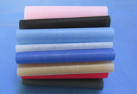 明光涤纶（PET）无纺布是什么